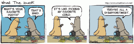 WTD1169.gif