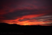 3-3-17-cr_DSC_4901.jpg
