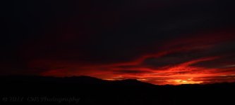 3-3-17-cr_DSC_4904.jpg