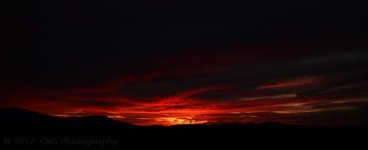 3-3-17-cr_DSC_4905.jpg