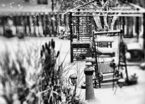 DSC_0757_9_8_Localtone+backyard out back window bw-0001.jpg