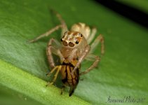 DSC_5421.jpg