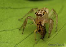 DSC_5431.jpg