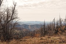 Palomar Mountain #1.jpg