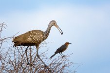 Lake Parker,FL--5.jpg