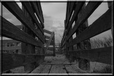3-5-17-BW-cr_DSC_4958.jpg