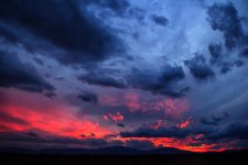 3-5-17-cr_DSC_4967.jpg