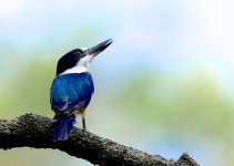 DSC_5504.jpg