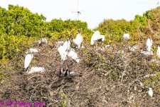 DSC_0426.jpg
