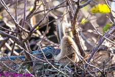 DSC_0430.jpg