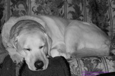 059 Jenny-130228-08-BW_01.jpg
