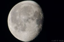 DSC_4538.jpg