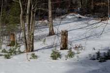DSC_4558.jpg