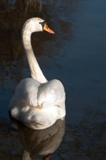DSC_8629.jpg