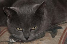 061 Buster-130302-01_01.jpg