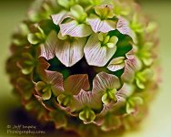 _DSC7955-1021322504-O.jpg