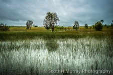 Howard Springs-1-5.jpg