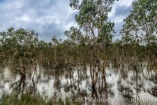 Howard Springs-1-8.jpg