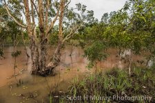 Howard Springs-1-9.jpg