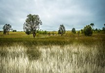Howard Springs - marcel-1.jpg