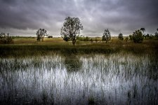 Howard Springs - Alternative version-1.jpg