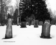 DSC_2721_5749-2.jpg