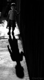 Shadow.jpg