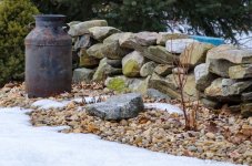 DSC_4658.jpg