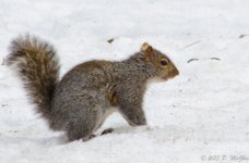DSC_4660.jpg