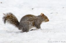 DSC_4661.jpg