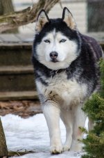 DSC_4663.jpg
