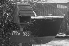 DSC_0111.jpg