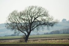 DSC_0109.jpg