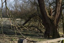 DSC_0093.jpg