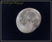 1-DSC-WLP-001-13.jpg