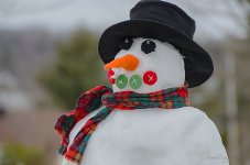Frosty's last days March7th.jpg