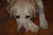 066 Jenny-130307_1.jpg