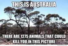 aust.jpg
