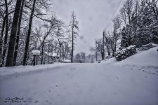 snow.jpg