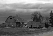 DSC_1556.jpg