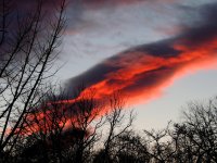DSCN6245.jpg