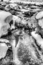 DSC_2795_5820_6_5821_7_5822_tonemapped.jpg