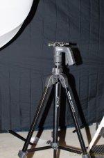 DSC_4847.jpg