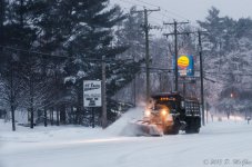 DSC_4793.jpg