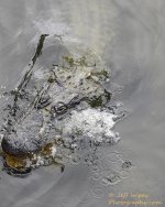 _DSC7605.jpg