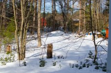 DSC_4868.jpg