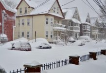 Snow2.jpg
