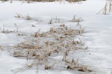 069 Burke's Pond-103010_01.jpg