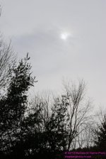 070 Sun - NOT-130311_01.jpg