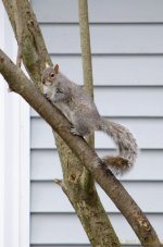 DSC_4907.jpg